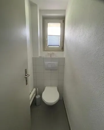 Swiss Alpine Hideaway 度假居 *